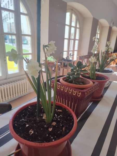 La primavera ha llegado a la RCM! 